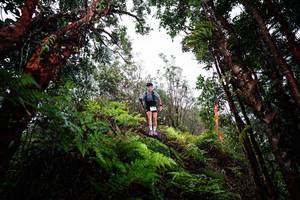 BIB: 
                            <button type="button" onclick="openModal(26204872)" class="btn btn-primary btn-sm float-right btn-popup" data-toggle="modal" data-target=".modal-high-quality">
                        <i class="fas fa-shopping-cart"></i> Add to Cart
                    </button>
                                            <button type="button" onclick="isThisMe(26204872, true)" class="btn btn-success btn-sm float-right btn-popup btn-isme hidden" data-toggle="tooltip" data-placement="bottom" title="นี่คือรูปของคุณใช่ไหม คลิกที่นี่เพื่อเอาเข้าอัลบั้ม">
                        <i class="fas fa-plus"></i> Add to album
                    </button>
                    <button type="button" onclick="isThisMe(26204872, false)" class="btn btn-warning btn-sm float-right btn-popup btn-isnotme hidden">
                        <i class="fas fa-ban"></i> Remove from album
                    </button>